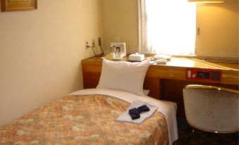 Hotel New Green