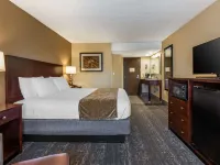 Best Western Braintree Inn Hotels in Braintree