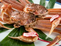 Iwaiya Hotel a Distretto di Iwami