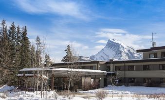 주니퍼 호텔 객실