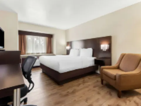 Best Western Patriots Point マウント・プレザントのホテル