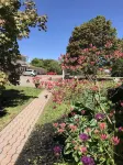 Fair Isle Motel - Wi-Fi