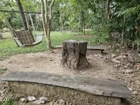 The Celebration Van Vilas