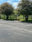 Holiday Inn Express & Suites WESTON by IHG - Parkplatz