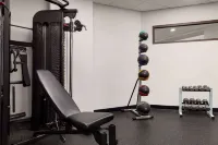 Wingate by Wyndham Green Bay/Airport - Gym