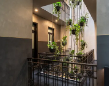 Umbral, a Curio Collection by Hilton