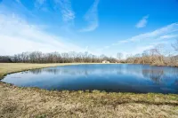 Country living at its best, chickens and a beautiful stocked pond to fish in