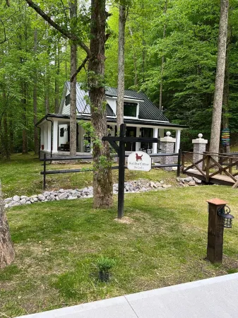 The Red Dog Cottage In The Woods w/ Hot Tub Отели в г. Чаттарой