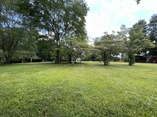 Cheerful, relaxing ranch in quiet neighborhood with fire pit