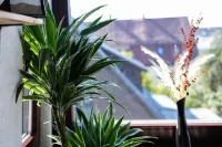 Nature Terminal Apartment - Emma Matratze & Waiputv