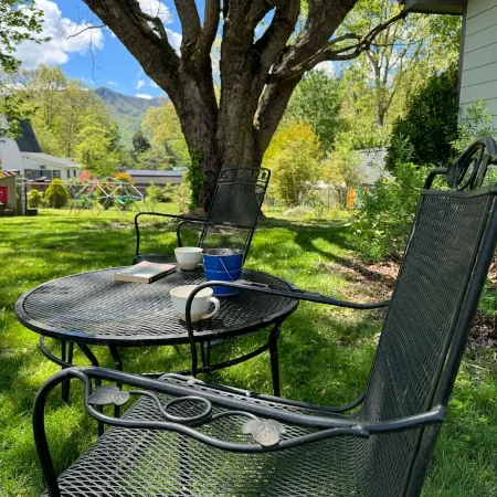 Quiet studio apartment in the heart of Black Mountain. Perfect for getaways!