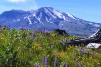 Large One-Story 4BD/2BA Home with Office, Covered Deck, Waterfall, and Nature - badewanne