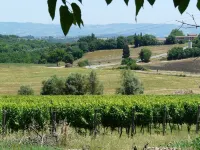 Vacation in a former 14th century monastery - L'olivo apartment
