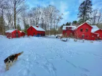 Historic 4 Bedroom Luxury Cabin with Private Waterfall & Lake Access Hotels in Tolland County