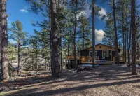 Peaceful Show Low Cabin in the pines! 3 min to the lake!