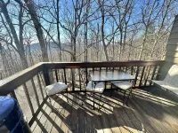 Travelers' Rest--Your Wintergreen Retreat in the Center of it All!