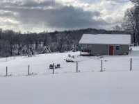 One room cabin set on our farm for a peaceful getaway.
