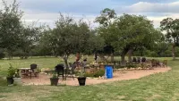 Silver Dollar Winery Bluebonnet