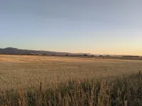 Designer Cottage Near Montana State University