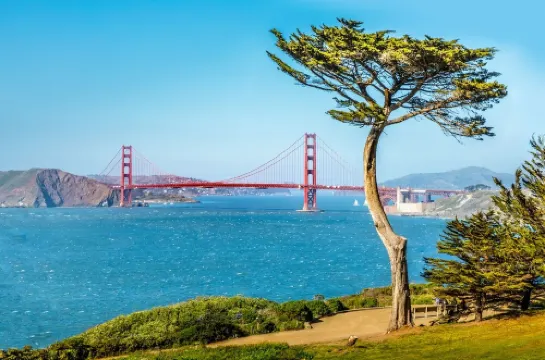 32nd Ave Casa next to Legion of Honor Museum, park, restaurants, bus, playground