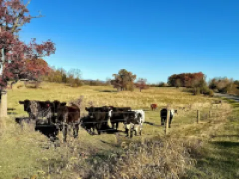Charming Cottage in Private Lake Community (Pet-Friendly 庫克薩基酒店
