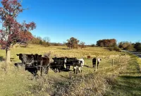 Charming Cottage in Private Lake Community (Pet-Friendly