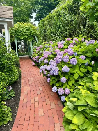 Beautifully Renovated West End House w/  Spectacular Garden & Great location!