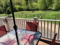 Alpaca Farmstay & Dark Skies, PA Wilds -Lumber Heritage  Region. Pet-Friendly! Hotel a Shippen