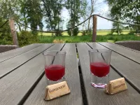 Gulfhof vacation apartment "Spiekeroog" on the nature reserve with a fantastic view