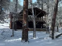 Upper Canyon Cabin, 2 King Beds, Fenced Yard, Wildlife, Dog-friendly! Hotels in Ruidoso