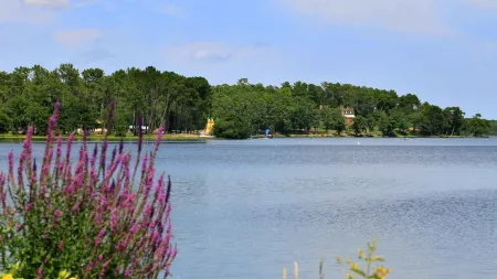 New 3-star property with private heated pool near the ocean Отели в г. Мимизан