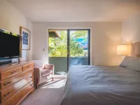Loon Mountain View 3BR, AC, Hot Tubs, Indoor Pools, Tesla Charger