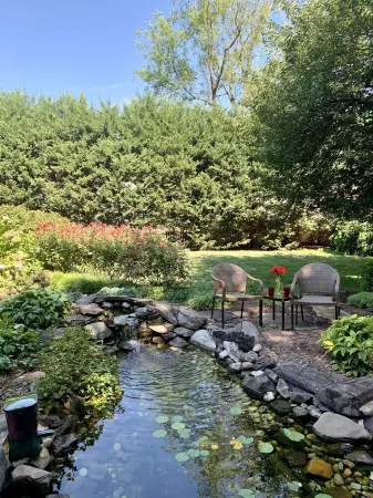 Relaxing oasis 5 min to Navy Stadium, St John’s, Naval Academy & Downtown Отели рядом с достопримечательностью «Уильям Пака Хаус & Гарден»