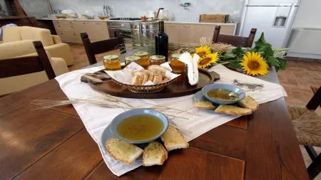 Beautiful farmhouse 20 km. from Pisa with swimming pool - Bellavista apartment