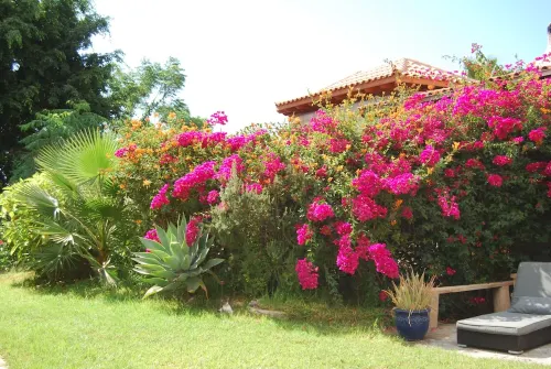 Vacation home with pool in a beautiful country location with sea views Wifi included