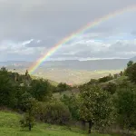 Endless Views  & Spacious Home, Nature Games Weddings Wineries Hiking