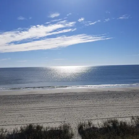 Enjoy 1ST Floor W/Pool. Kitchen Well Stocked.Always Updating! 10 Star