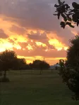 Silverspur at Round Top- Amazing restored 1800's Farmhouse on 40 acres w/a pool!