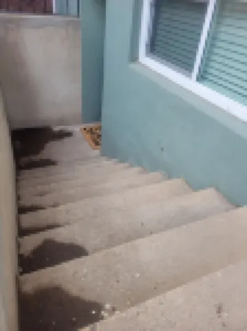 Home Away Studio Basement Apartment w/Hideabed