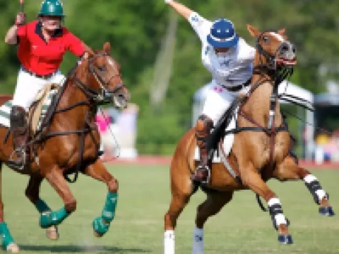 Saratoga Lake Waterfront with Dock, Near Racetrack & Downtown Saratoga! Hotels in Malta