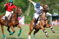 Saratoga Lake Waterfront with Dock, Near Racetrack & Downtown Saratoga!