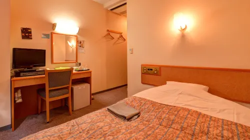 Business Hotel Iwagawa Hotels in Shibushi