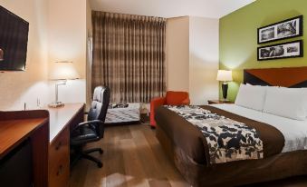 Wingate by Wyndham Macon West I-475