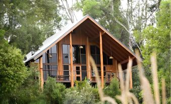 The Canopy Rainforest Treehouses & Wildlife Sanctuary