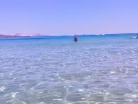 Sunny House, vacation home with garden near the beach in Budoni! Hotels in Budoni