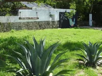 Casa Viva Mérida Hotels in Acanceh