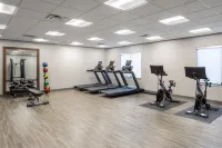 Hampton Inn Hornell - Gym