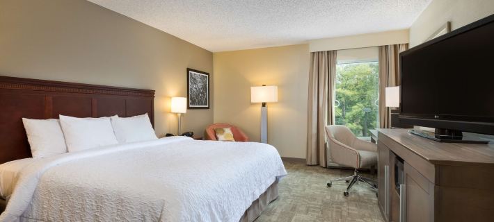 Hampton Inn Houston-Near the Galleria Hotels in Harris County