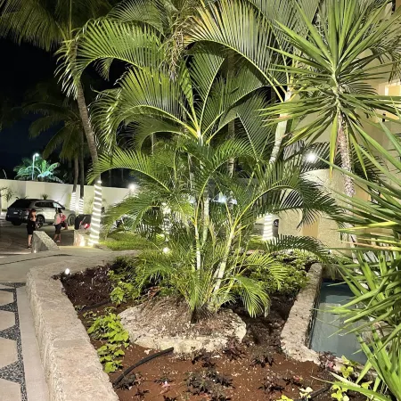 Ocean View Apartments
