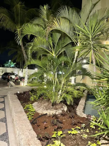 Ocean View Apartments